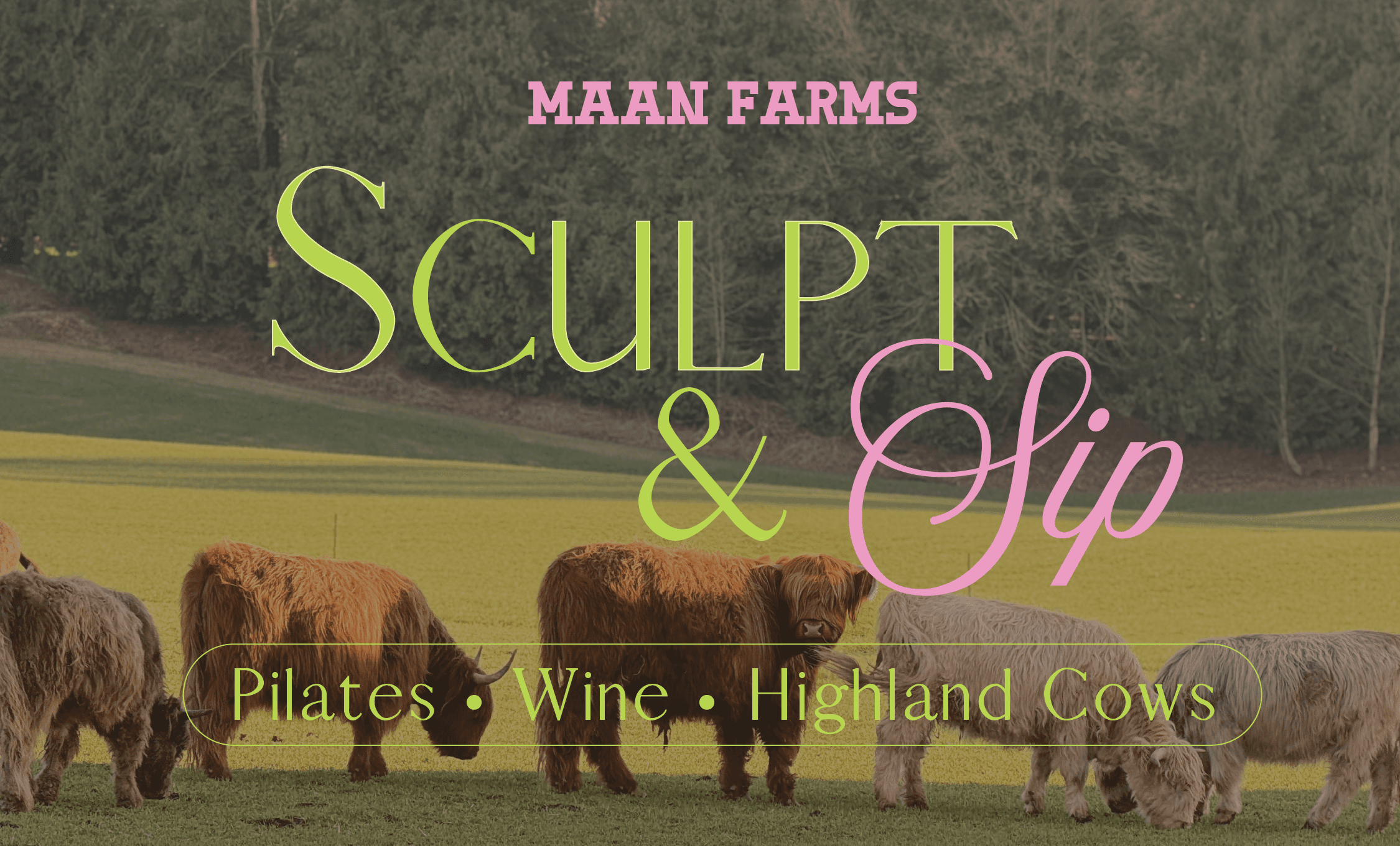 Pilates, Wine, and Highland Cows at Maan Farms: Sculpt & Sip in Abbotsford