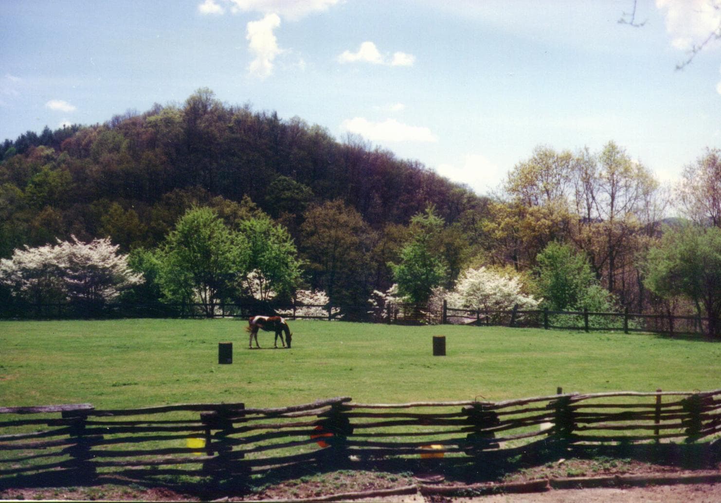 Family-Friendly Horseback Riding Experience on a Picturesque North Carolina Farm