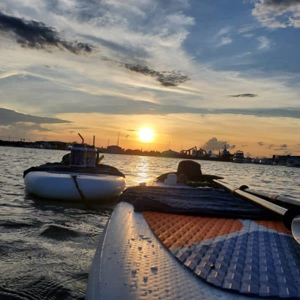 Stand-up paddleboards floating at sunset on a scenic coastal harbor