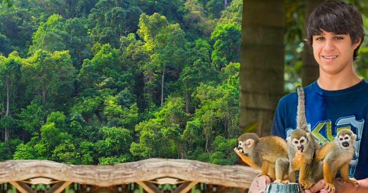 Squirrel Monkey Encounters with BestDRExcursions in La Romana