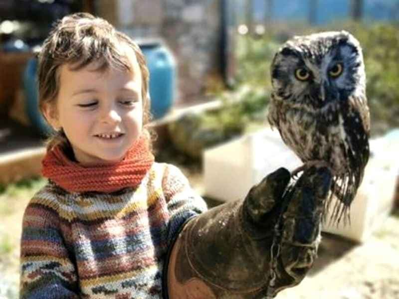 Wildlife & Nature Experience at Fundació Zoo del Pirineu