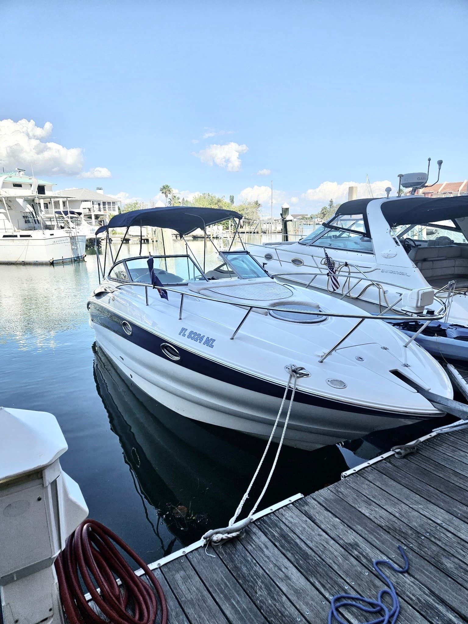 Madeira Beach Island Hopping: Shelling, Snorkeling & Dolphins Aboard a 27' Cabin Cruiser