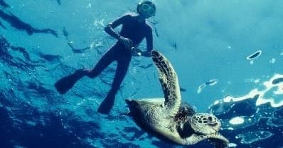 Paddle Snorkel Tour with Get Wet Watersports Inc. in Riviera Beach