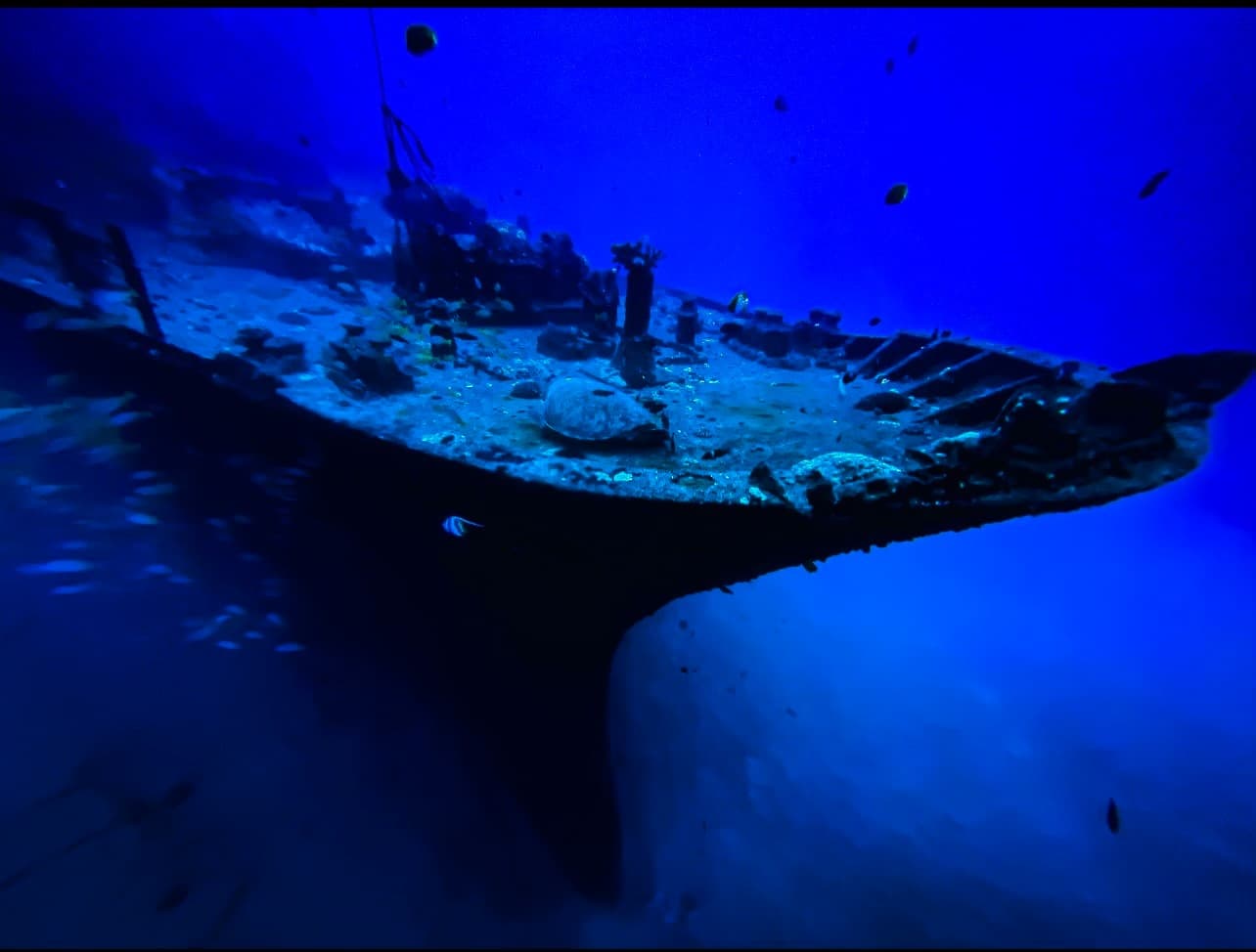 Waikiki Dive Center fleet