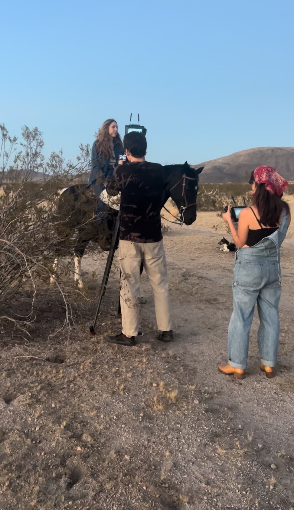 Capture Majestic Moments: Joshua Tree Mustang Sanctuary Photoshoot Experience