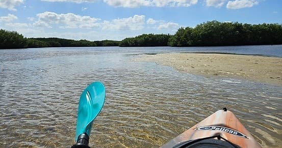 POV kayaking across shallow coastal mangrove flats with paddle