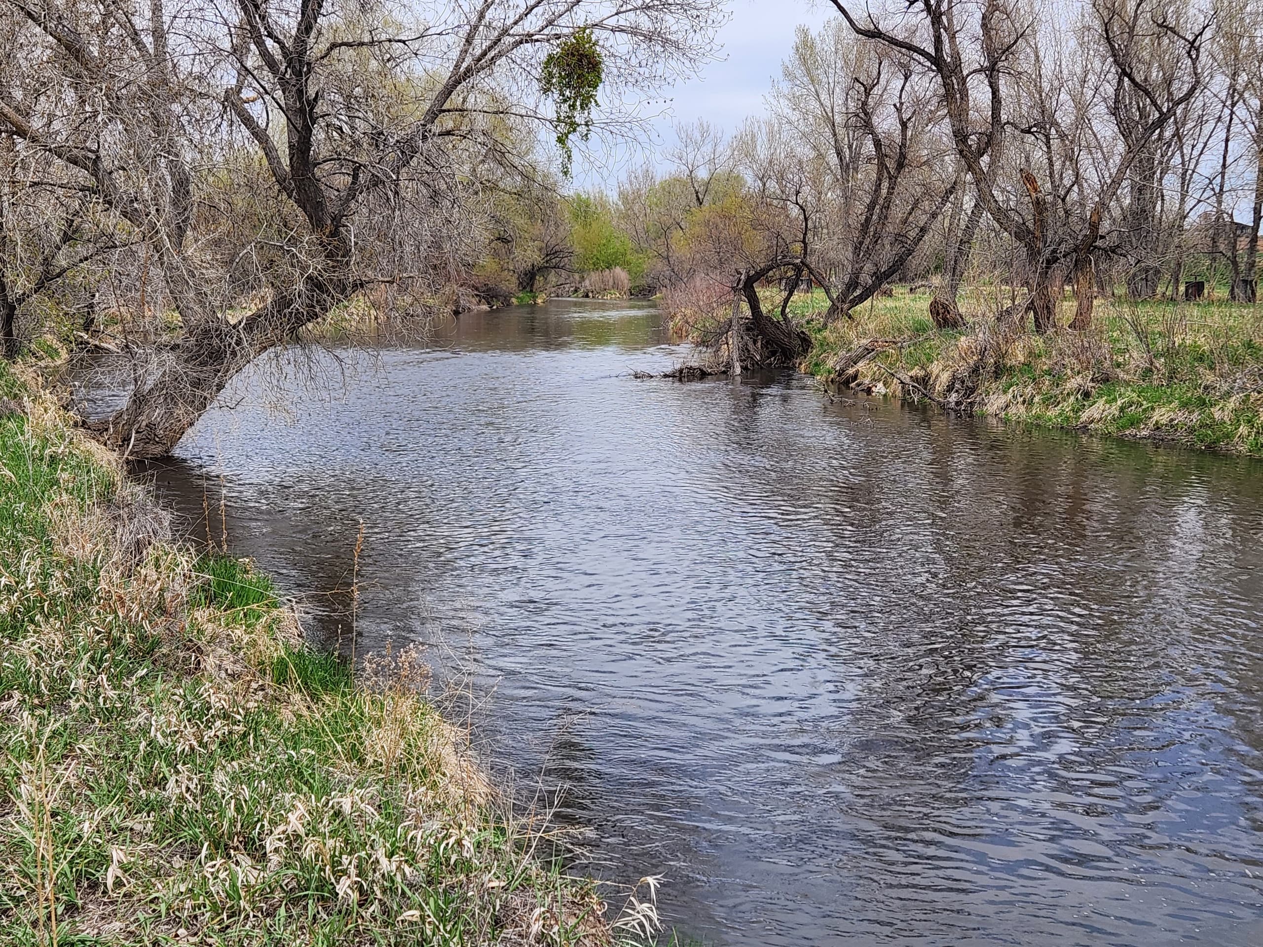 Explore History on East Poudre River Walking Tour