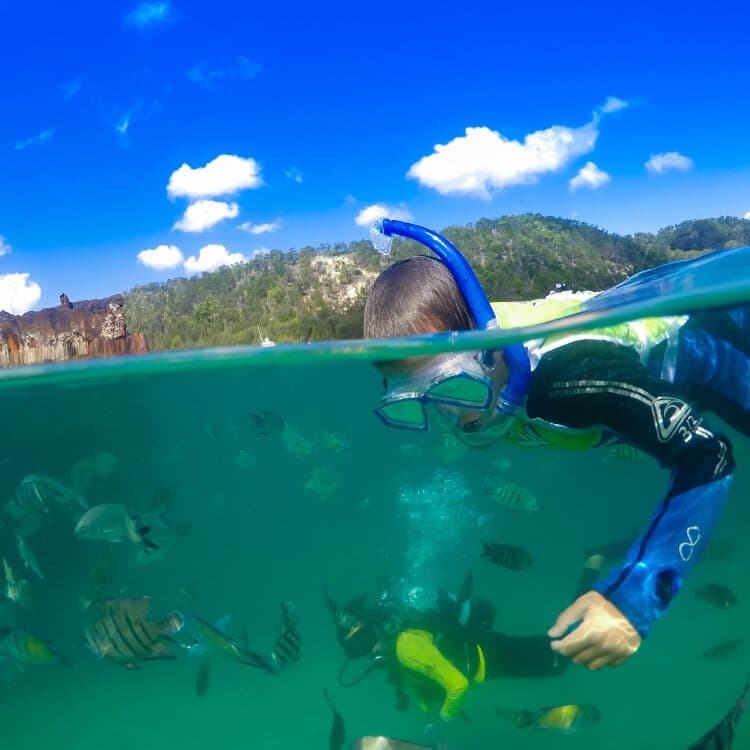Explore Tangalooma Wrecks: Sunken Ships, Snorkeling & Dolphins from Brisbane