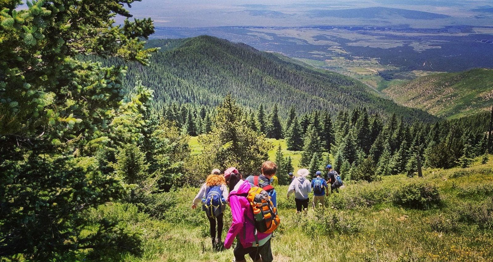 Hikers trekking a green mountain ridge with valley vista