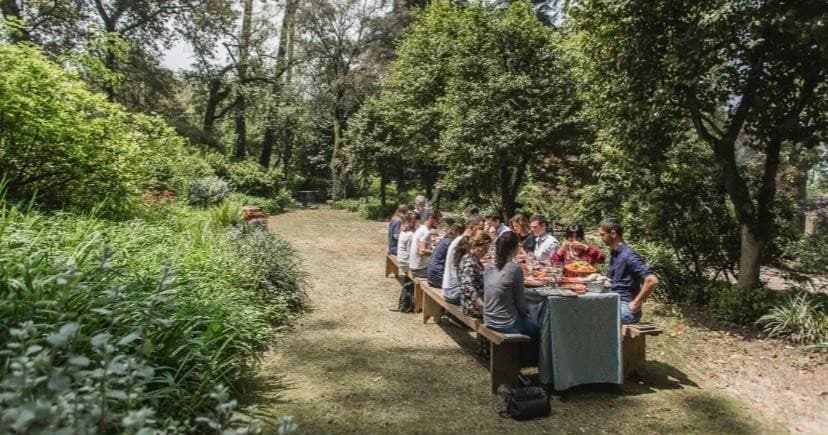 Douro Winery Lunch in Guilhufe | Farm Experiences & Tours