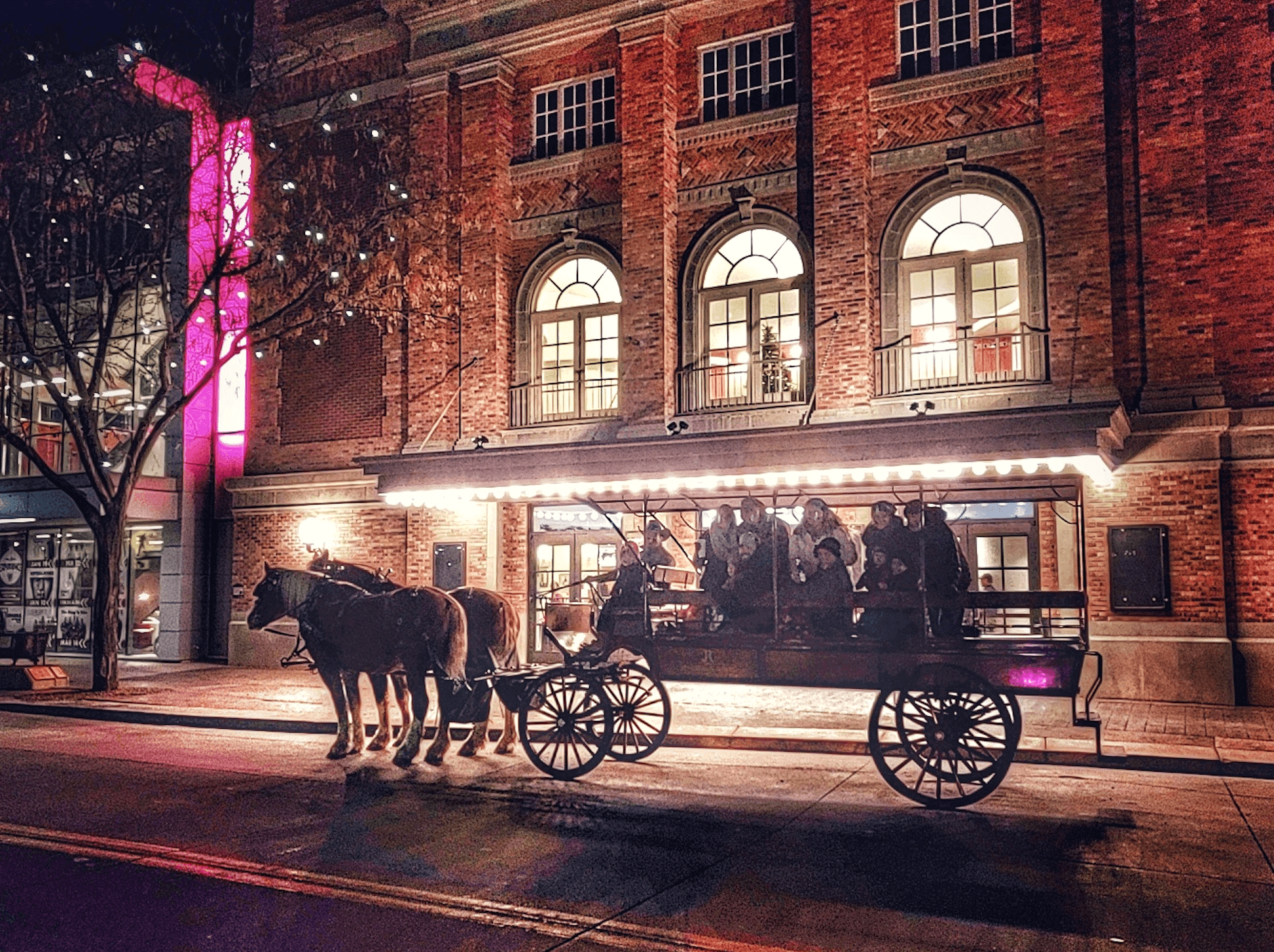 Horse-Drawn Christmas Light Tours in Grand Junction, CO