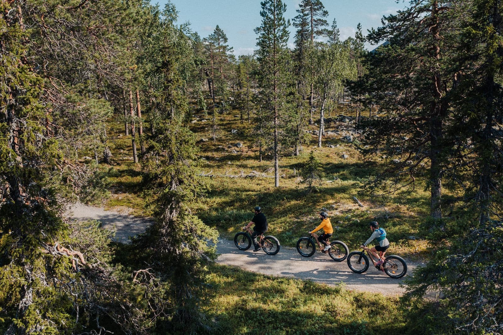 E‑MTB Through Pyhä‑Luosto: Half‑Day Fell & Forest Adventure photo 3