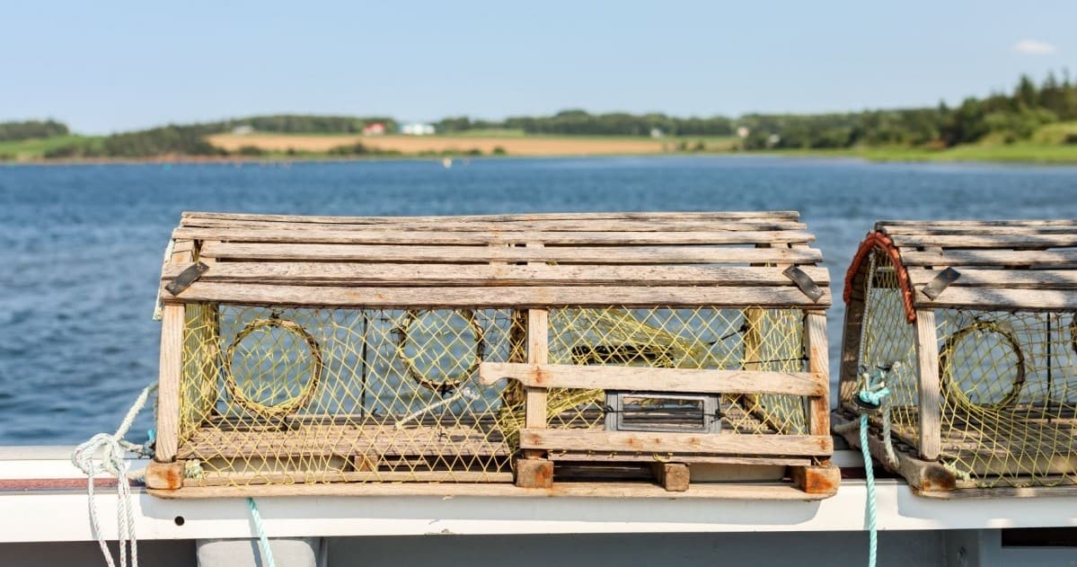 Outdoor Adventure: Lobster Fishing at Joey's Fishing on PEI