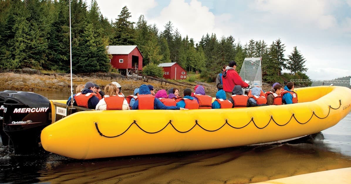Wildlife & Wilderness Tour with Alaska Travel Adventures