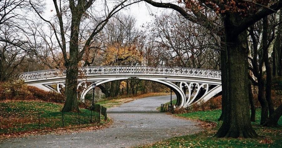 Met Museum & Central Park Walk with Babylon Tours NYC photo 1