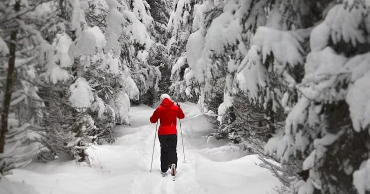 Glacier Point Ski Hut: Self-Guided Overnight from Badger Pass