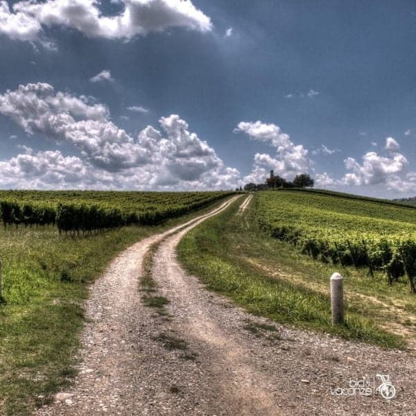 Gravel vineyard trail winding under dramatic cloudy sky