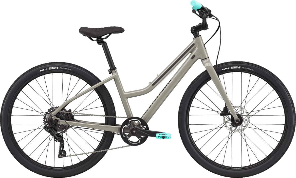Comfort Bike Rides Along Holland’s Lake Macatawa Shore
