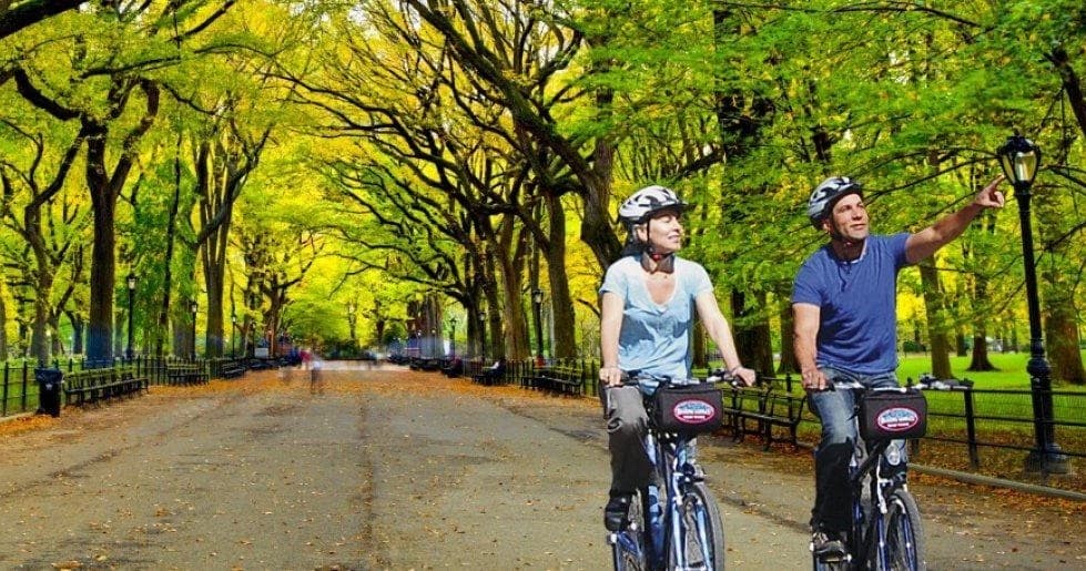 Cyclists riding through leafy Central Park tree-lined path