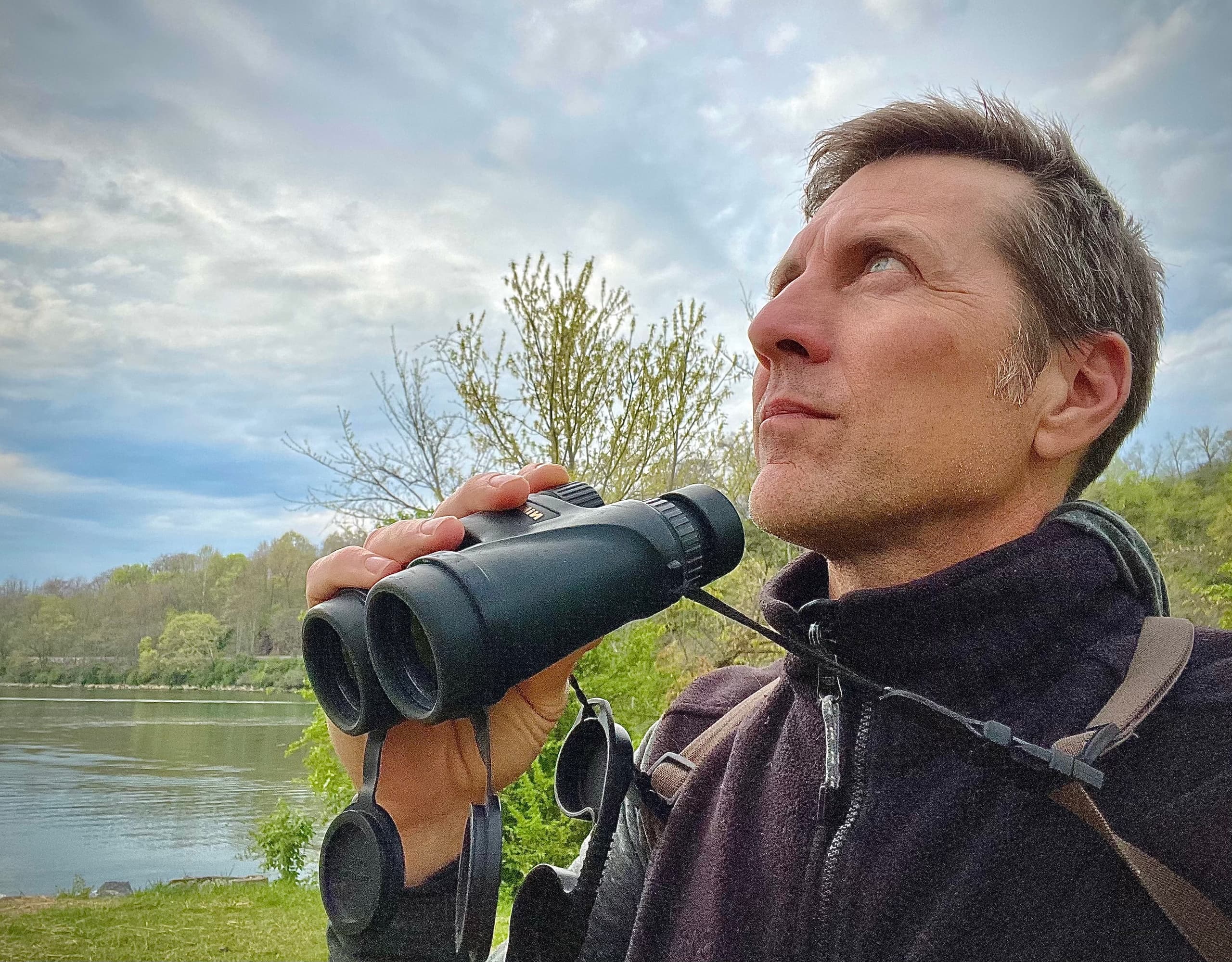 Experience the Fall Migration Birding Walk in Knoxville’s Urban Wilderness