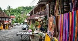 Food & Culture Tour at Pura Vida Bites in Santa Teresa