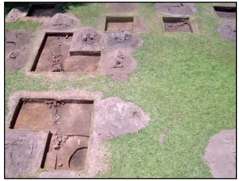 Hands-On Archaeology at Drayton Hall: Five-Day Archaeological Institute in Charleston