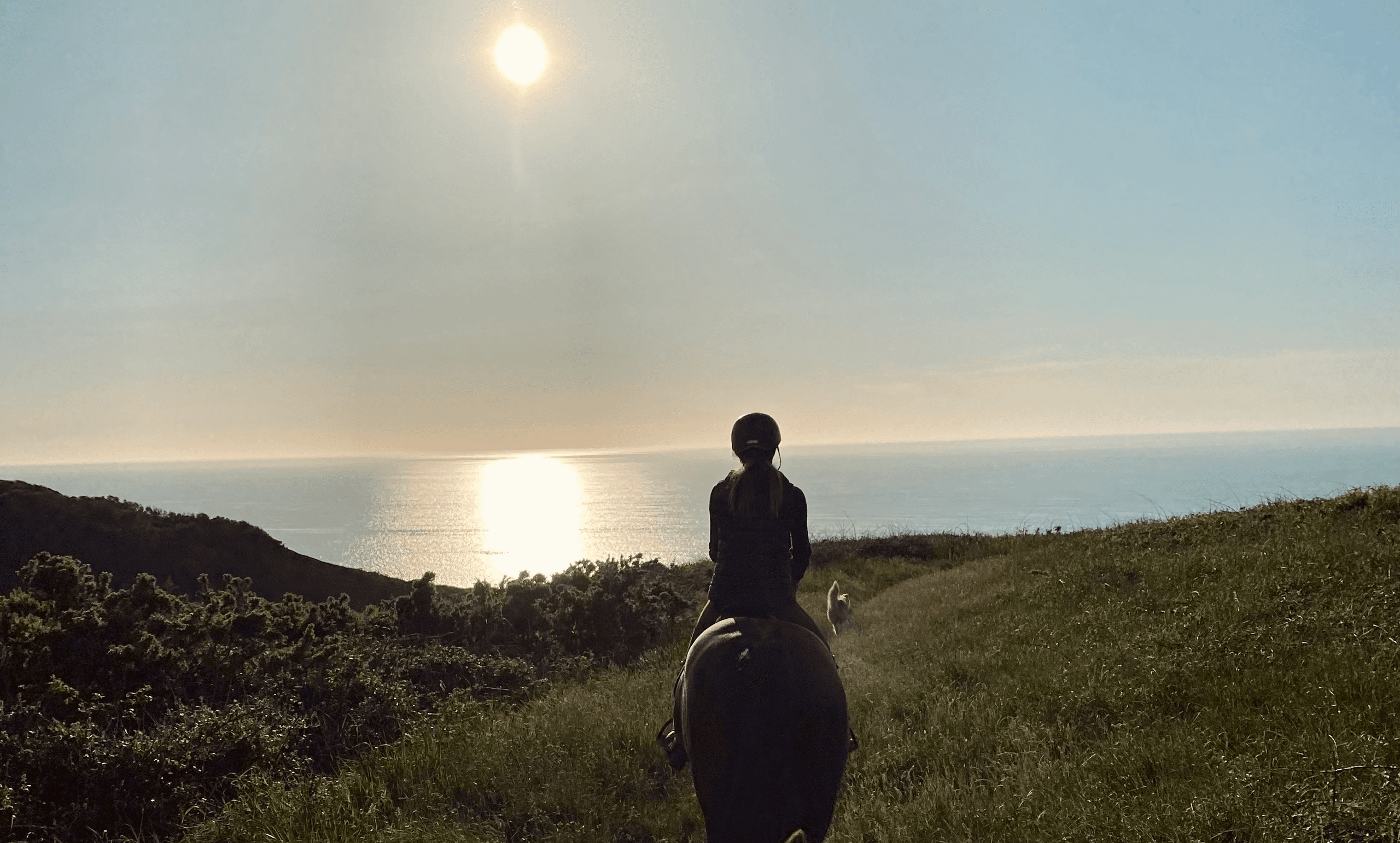 Evening coastal horseback trail ride silhouetted against sunset sea