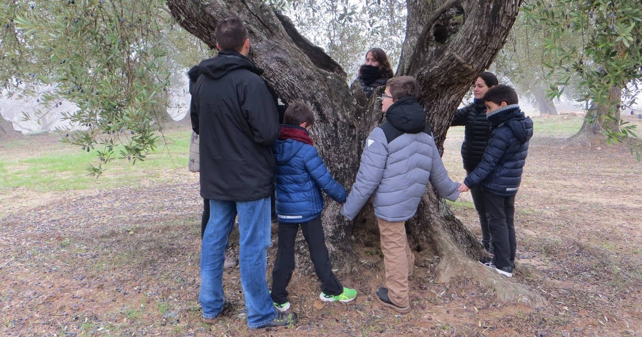 Discovering Els Secrets de l'Or Líquid: A Family-Friendly Olive Oil Experience in Horta de Sant Joan