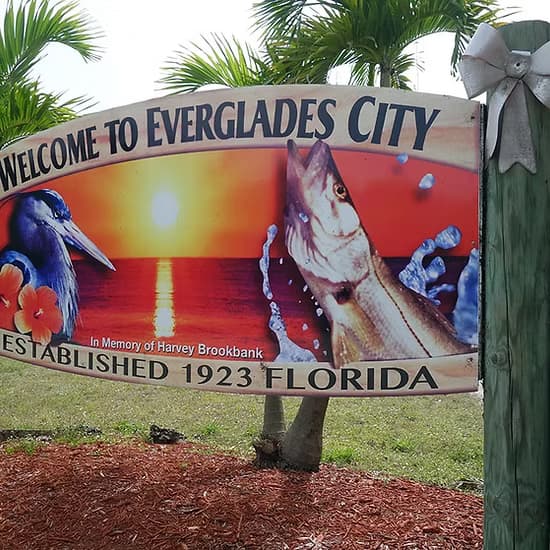 Everglades City Day Lunch Excursions from Naples: Mangrove Tunnels, Gulf Islands & Wildlife