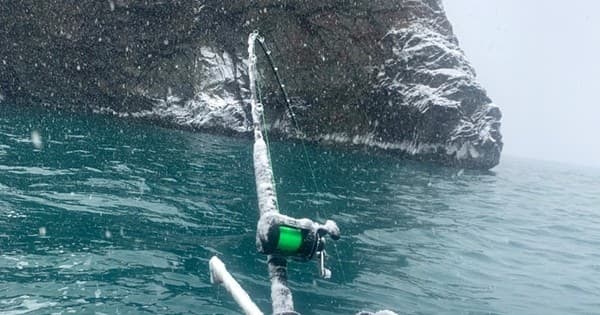 Winter King Salmon & Halibut Charter in Homer, Alaska: A 10-Hour Adventure photo 2