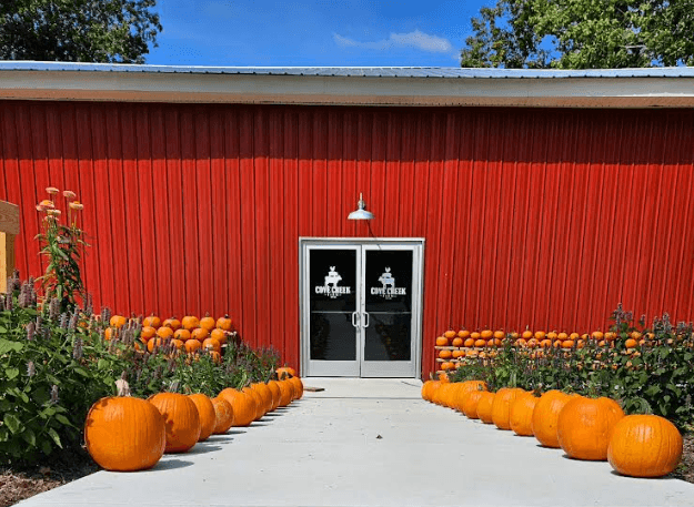 Fall Adventure at Cove Creek Farm LLC