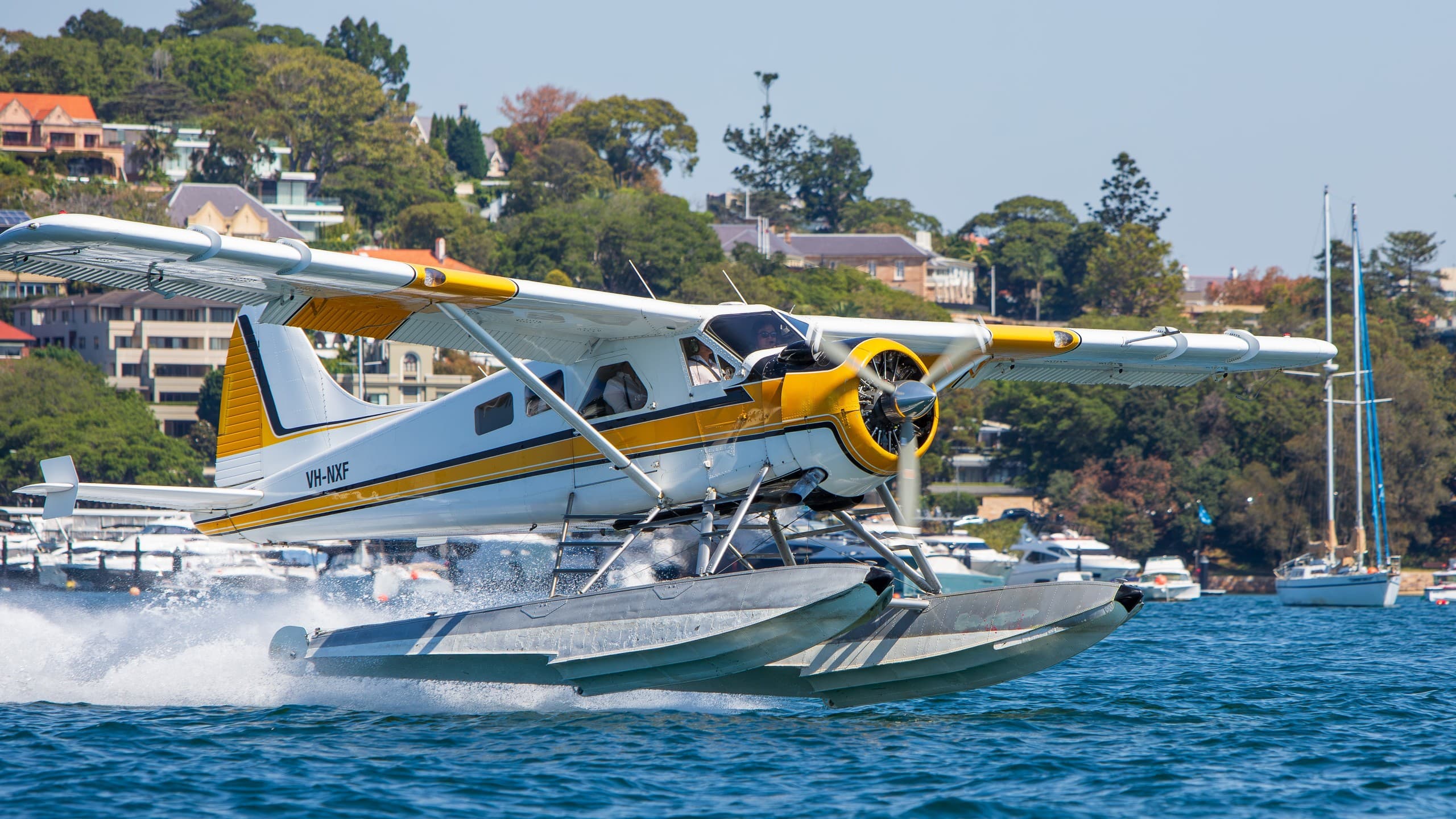 Wings Over Sydney: Harbour Icons & Northern Beaches from the Sky photo 4