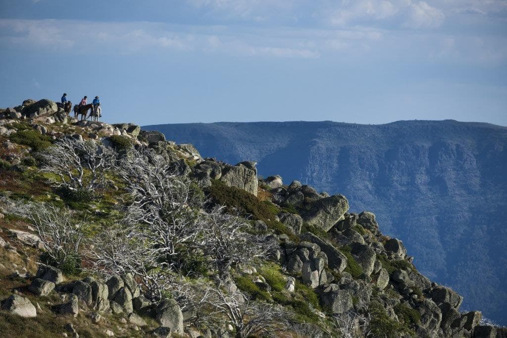 Explore Australia’s High Country: 7-Day Man From Snowy River Celebration Ride Adventure