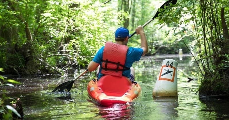 Explore Wendell’s Robertson Millpond Preserve by Kayak: A Serene Paddle Adventure