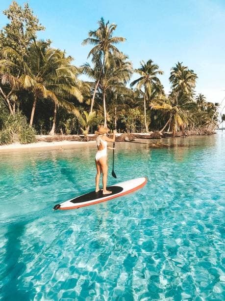 Stand-up paddleboarder gliding in clear lagoon by palm-fringed shore