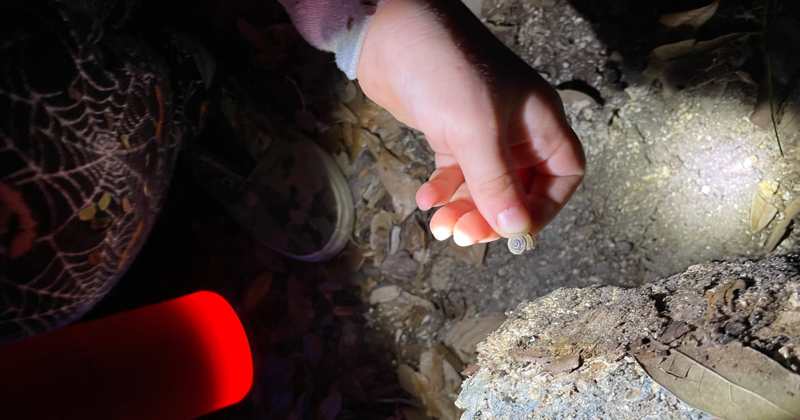 Family-Friendly Event at Marine Discovery Center