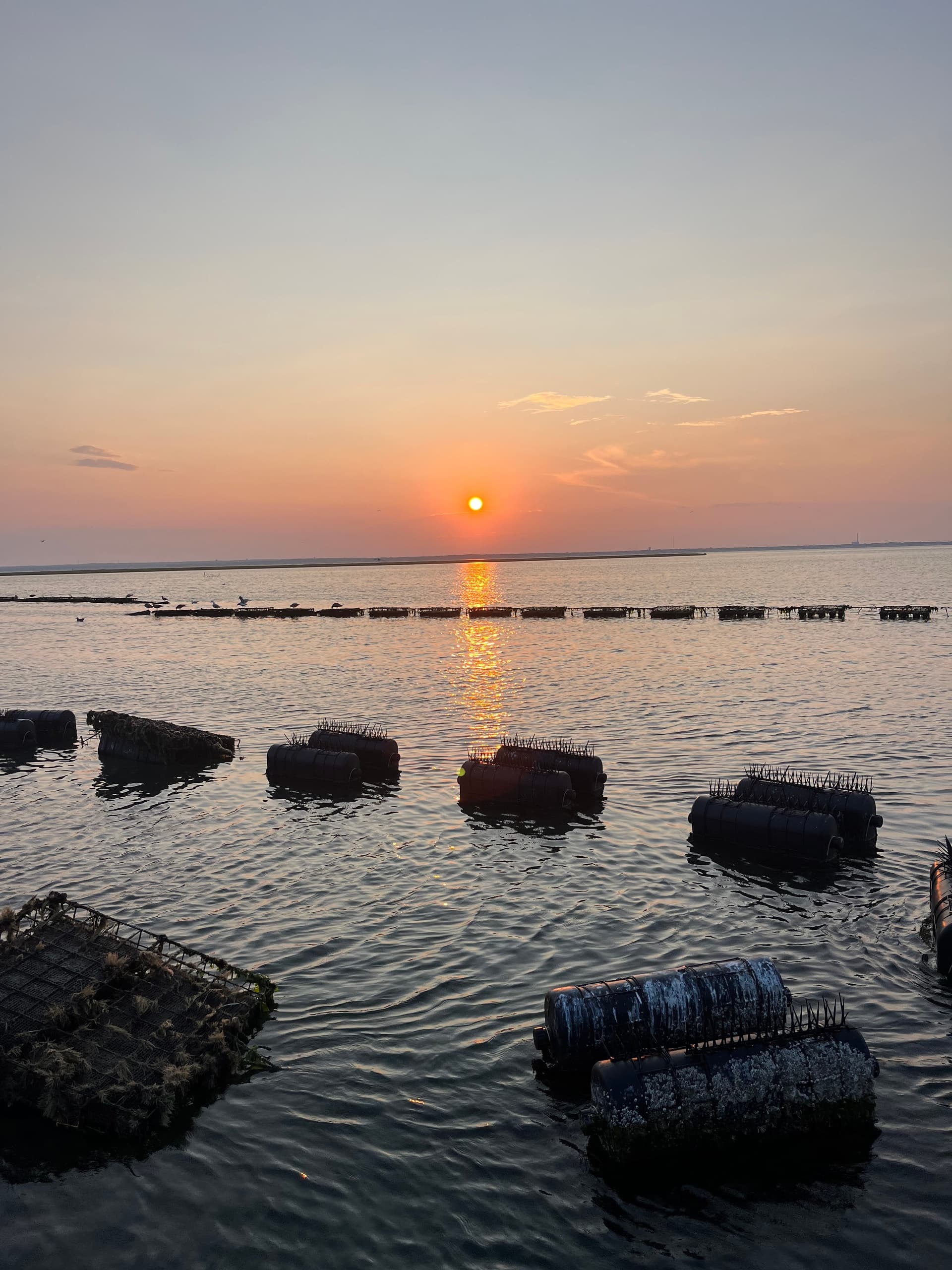 Sunset Cruise and Oyster Tasting in Barnegat Light, NJ