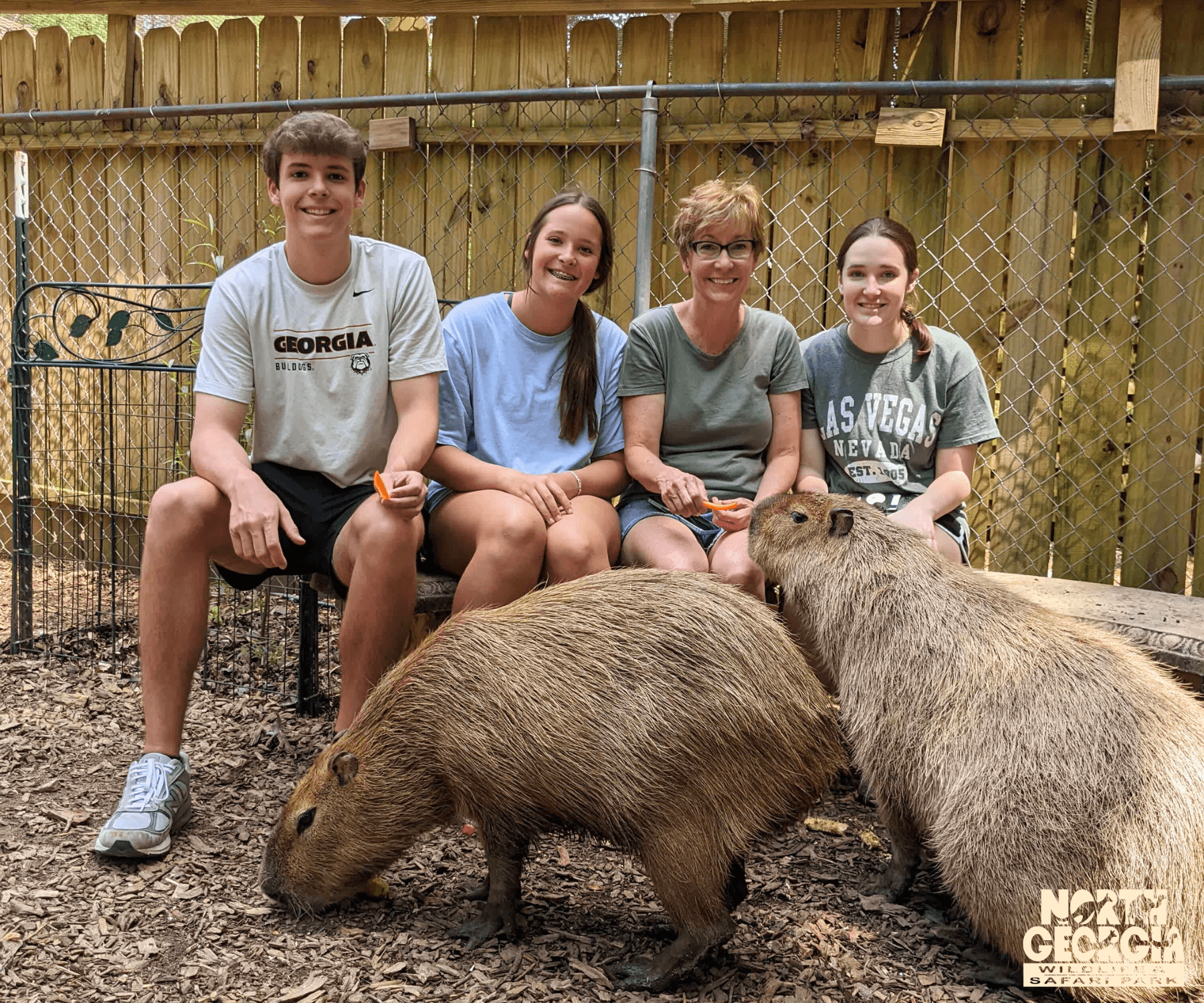 Capybara Experience in Cleveland, Georgia Zoo Adventure