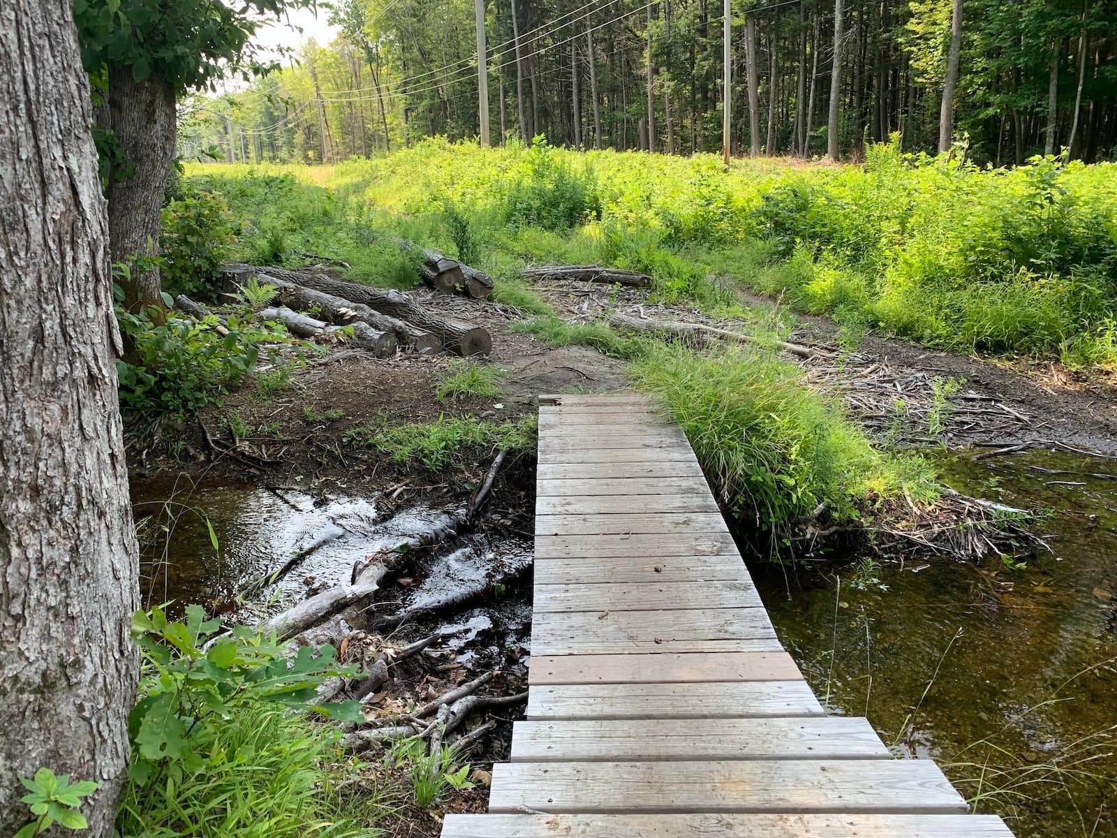 North Conway Adventure- NH: Guided Cycling Weekends from Burke, Vermont