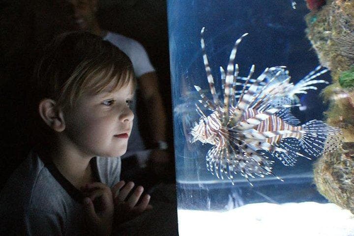 Wildlife & Nature Tour at Temaiken Biopark from Buenos Aires