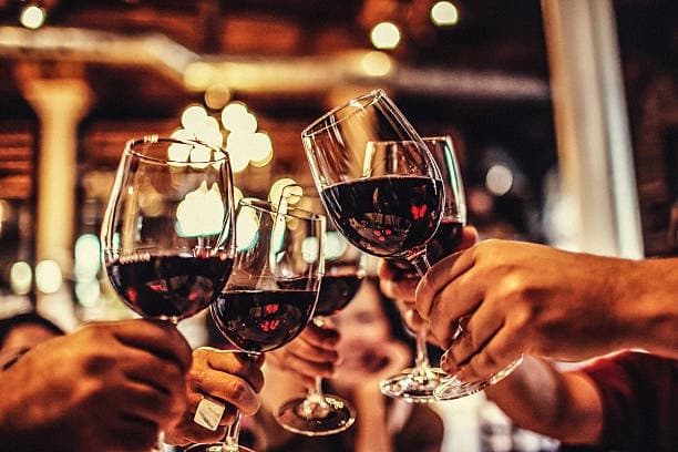 Evening Wine & Alpaca Adventure in Wisconsin Dells