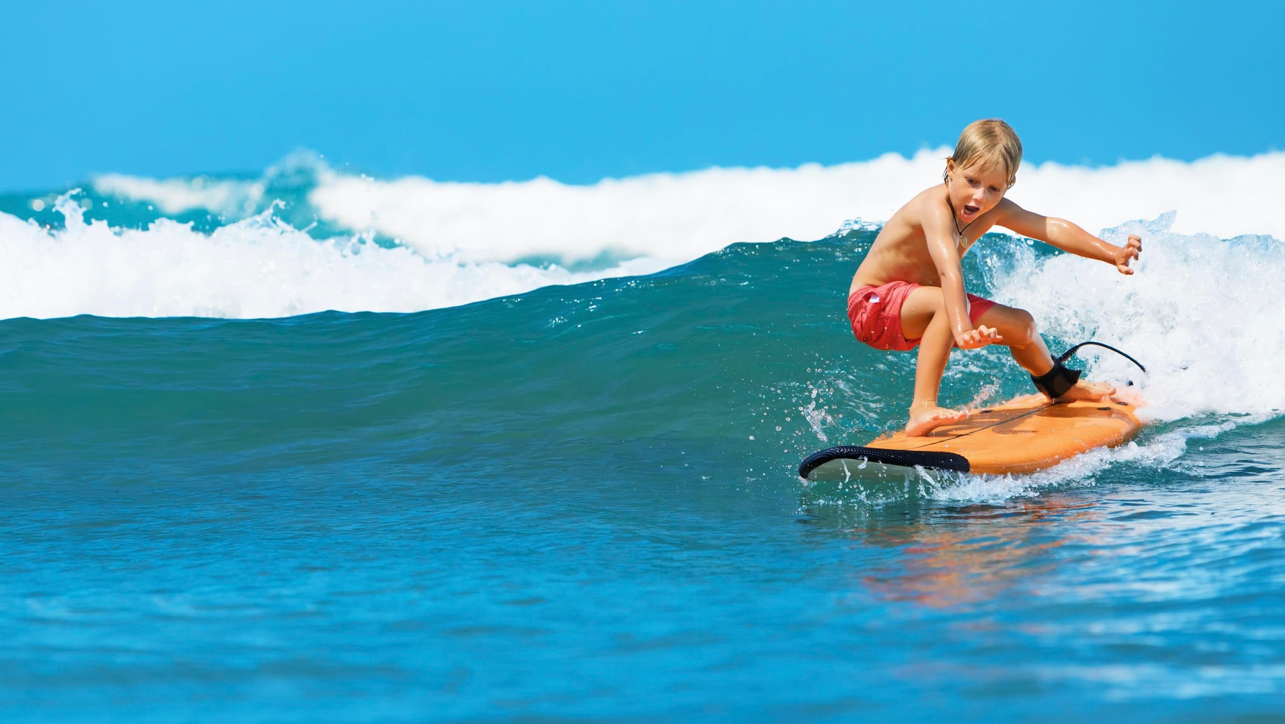 Water Activities & Port Fairy Beach Beginner Surfing