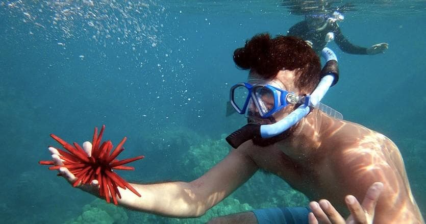 Private Kayak & Whale Watch Adventure in Maui, Hawaii