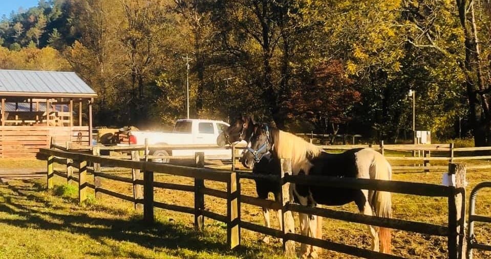 Horse Stall Rentals at Leatherwood Mountains Camping