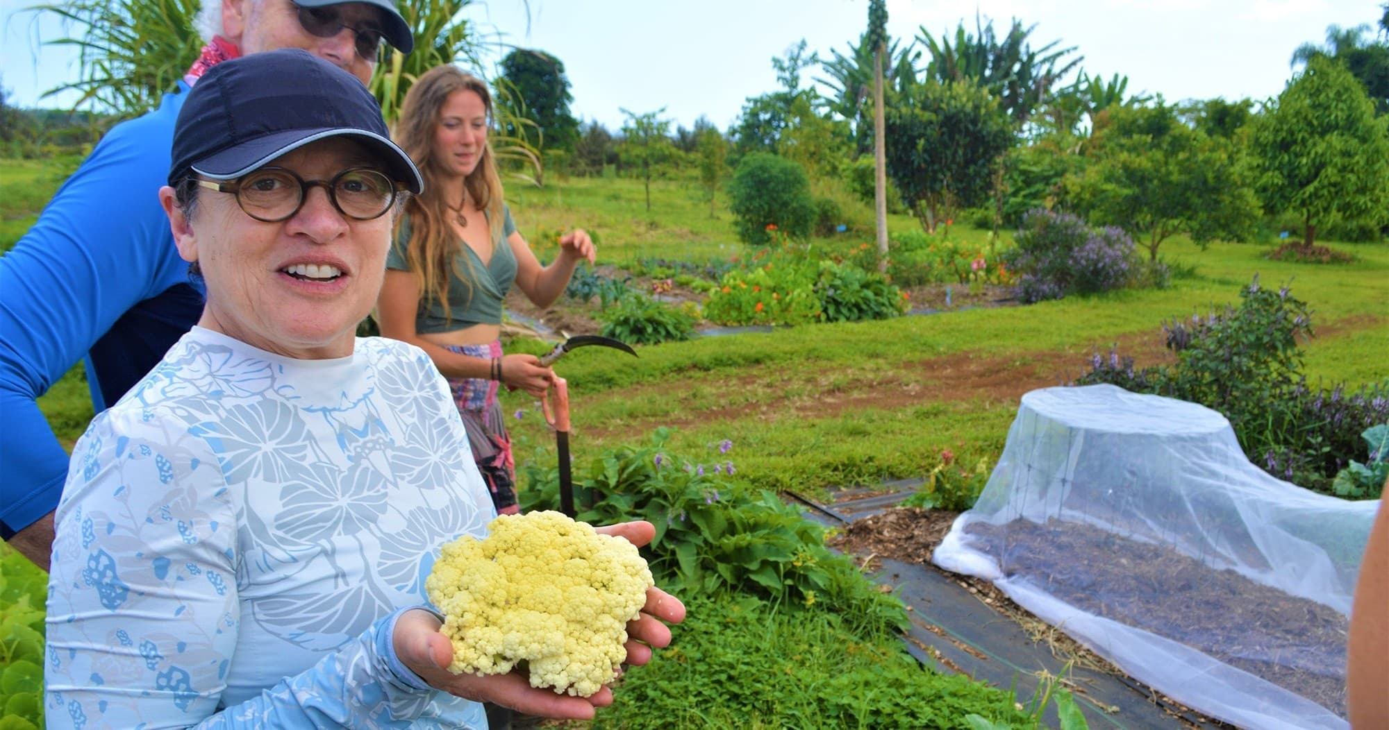 Farm to Table Cooking at Kulaniapia Falls, Hawaii