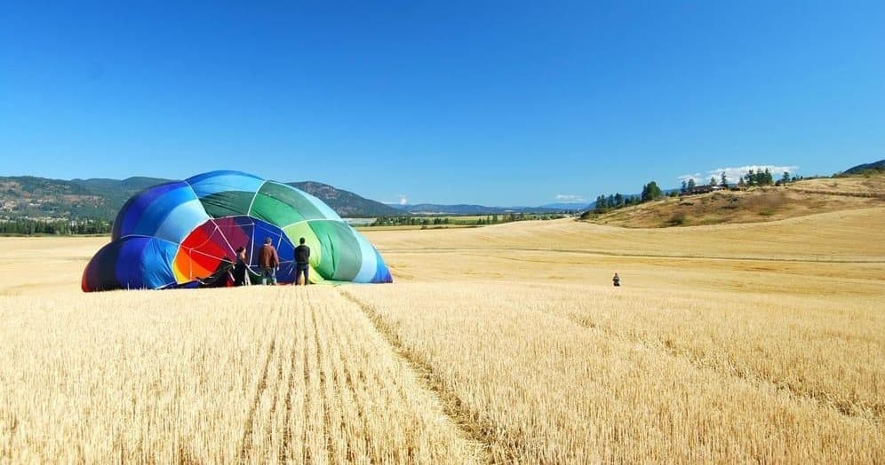 Hot air balloon landing in golden wheat field at sunrise