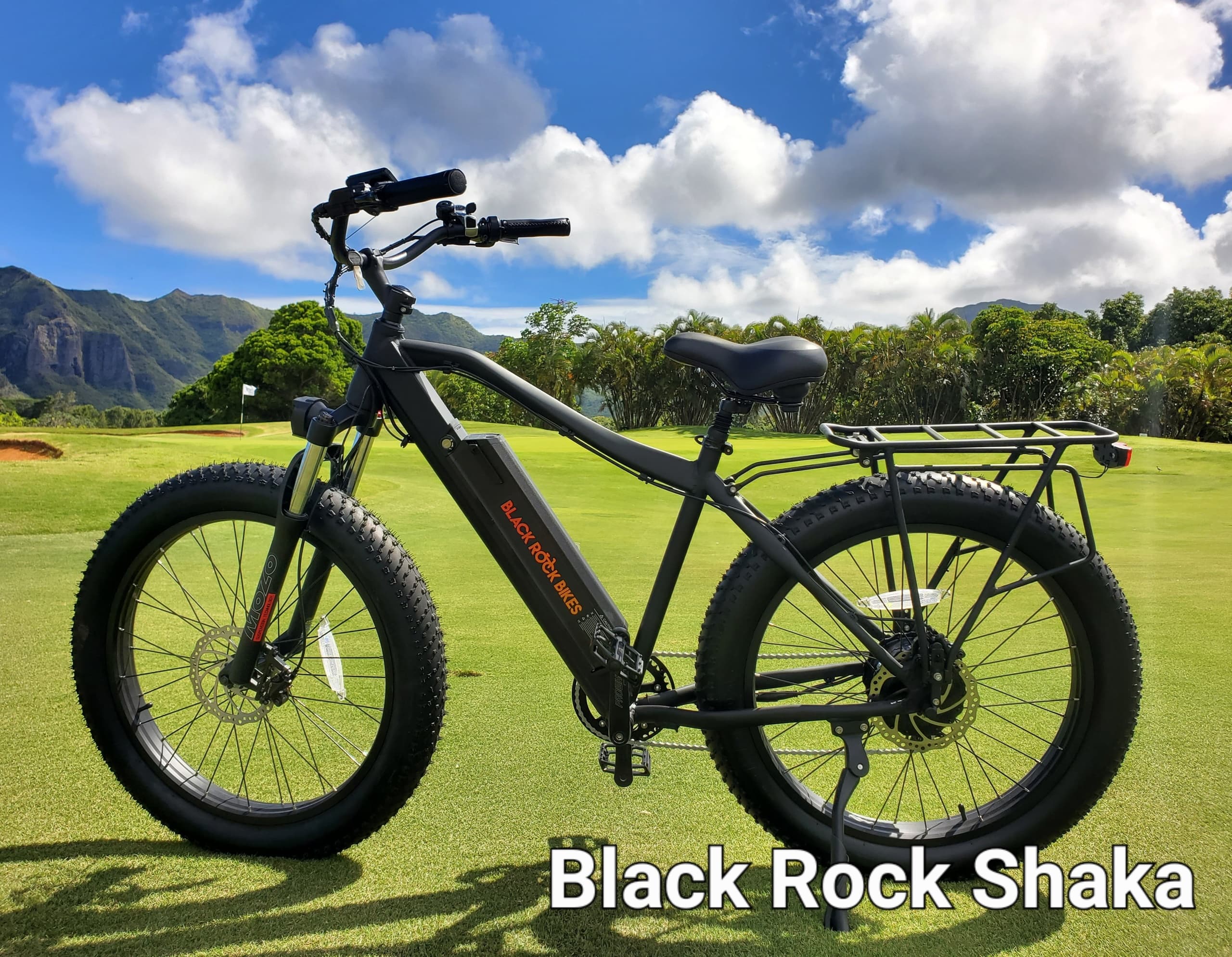 Kauai Ebikes’ 4-Day E-Bike Rental in Koloa Hawaii