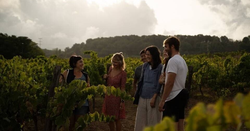 Barcelona Wine Tasting Tour | Food Tour in Sant Sadurní d'Anoia | Private, Wine