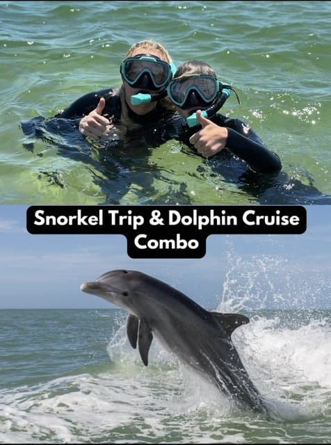 Snorkelers giving thumbs up with dolphins breaching near boat