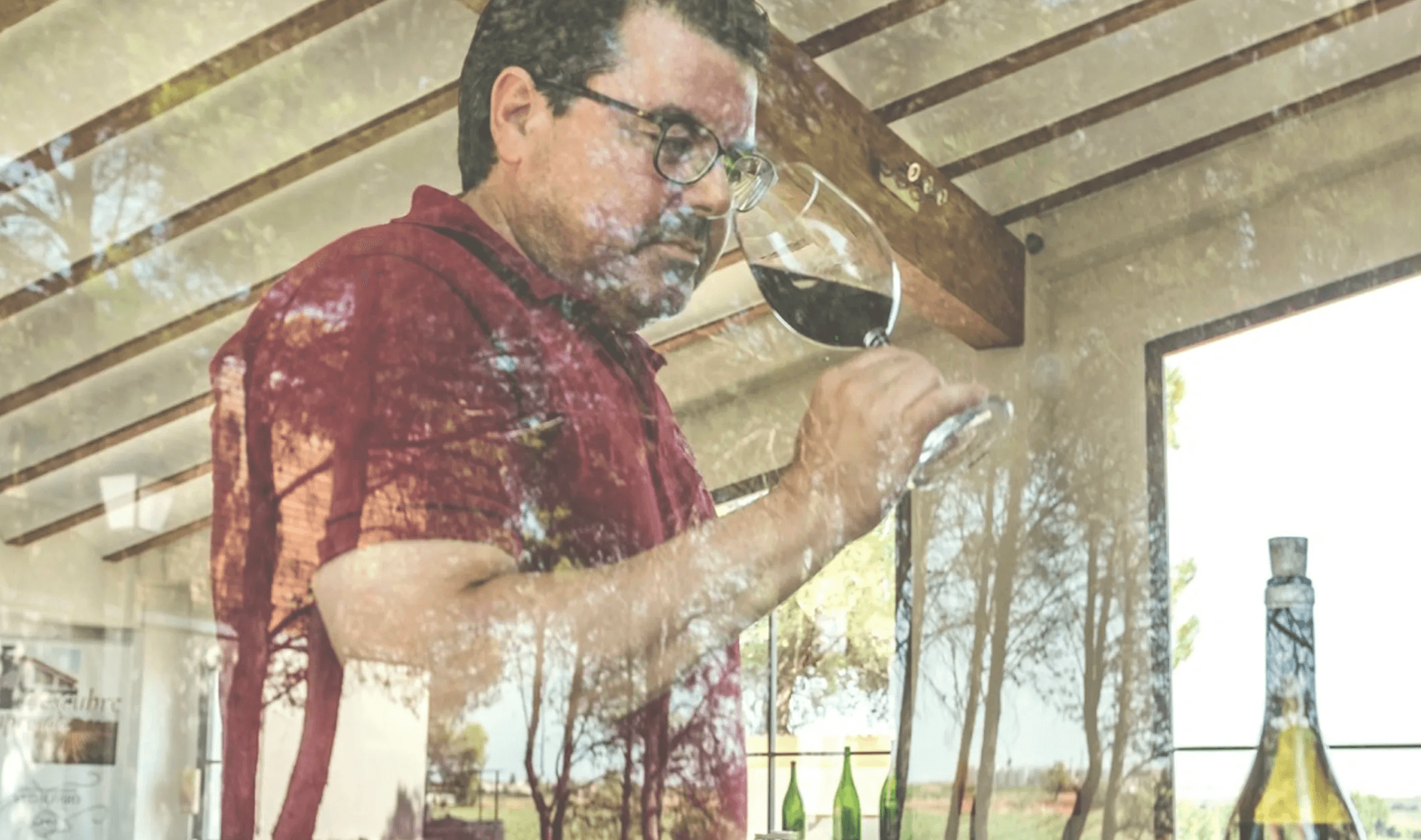Wine Tasting & Vineyard Tour at Bodegas Vegalfaro